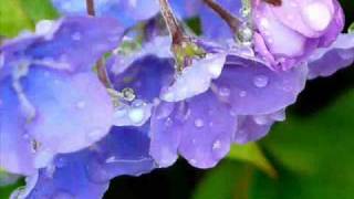 Me amas-Marco Barrientos.wmv