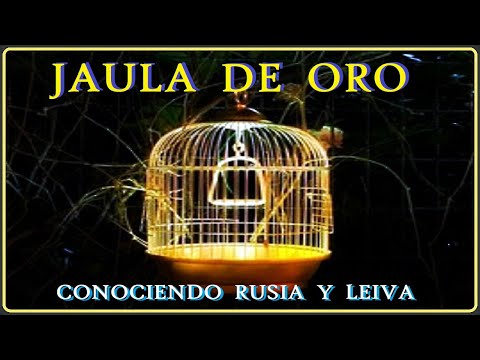 JAULA DE ORO. (2023). CONOCIENDO RUSIA Y LEIVA