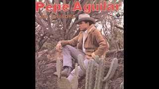 Esta Tristeza Mia   Pepe Aguilar