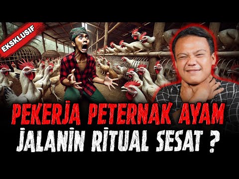KISAH HOROR PETERNAK AYAM PALING SERAM DI BOGOR !