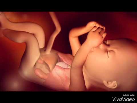 9 meses de gestación