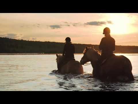 Summer Horseback Riding in Rovaniemi Lapland Finland - Ratsasta keskiyön auringon alla