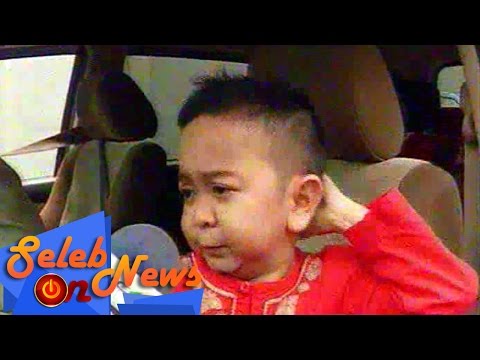 Kisah Asmara Daus Mini dan Loly Unyu - Seleb On News (28/4)