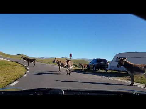 Transbucegi Romănia;  Sinaia, Babele, Sfinx.