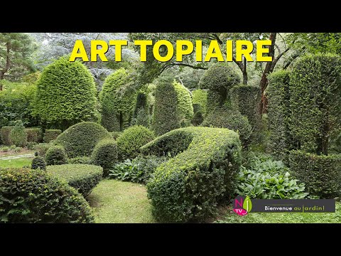 TOPIAIRE L’ART DE SCULPTER ET FORMER LES PLANTES LES MEILLEURES ESPÈCES À DÉCOUVRIR AVEC NOS EXPERTS