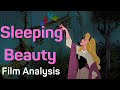 Sleeping Beauty Film Analysis