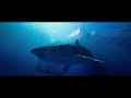 47 Meters Down Trailer #1 2017   Movieclips Trailers