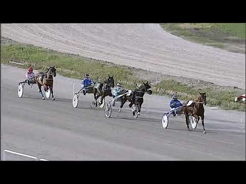 Napoli Trotto 15/01/2026 - 1ª prova di qualifica