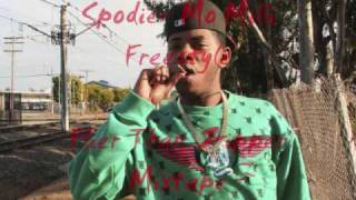 Spodie -M.O. Milli Freestyle