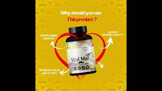 Download lagu Laperva Vital Man mp3 Download lagu Laperva Vital Man mp3