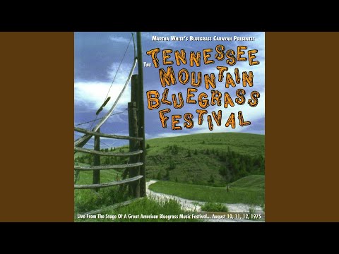 Cotton-Eyed Joe (Instrumental)