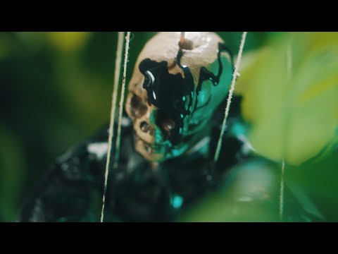 Youtube Video WUF5sp9XD5E