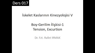 Kinezyoloji 01 Ders 017 İskelet Kaslarının Boy Gerilim İlişkisi I