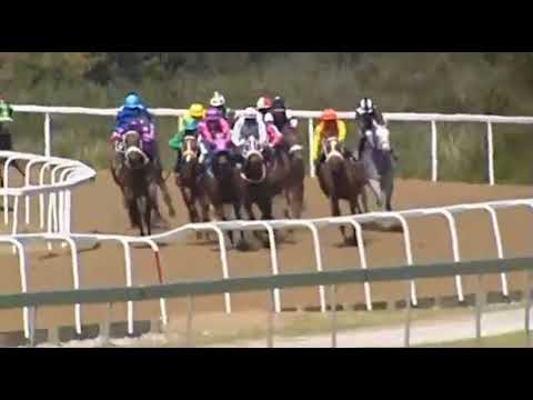 JACOB'S LADDER - Fairview 31/12/21