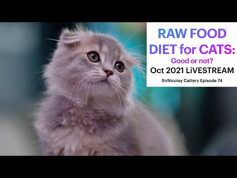 Raw Food Diet for Cats--Good or Not?