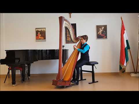 Horváth András István videója