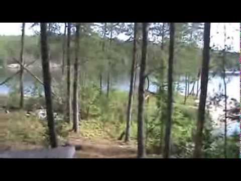 Trappers cabin on Vee Lake Ontario, Canada - YouTube