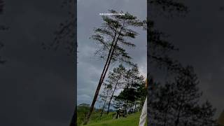 Download lagu FYP Tik Tok 2023 lirik 'Sesuatu Yang Sempurna' Aesthetic Viral#shorts mp3