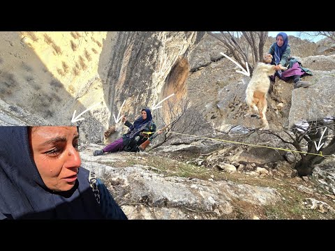 Esmat's Journey to the Mountains and the Search for the Lost Sheep 🏔️😢