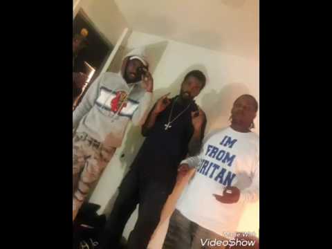 BLGMB VETO x KUTTY x YSM NUTTY. HOLD WEIGHT