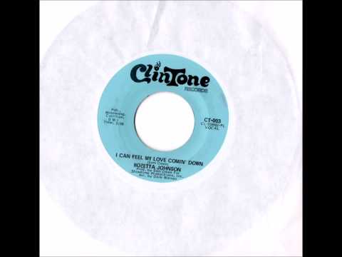 ROZETTA JOHNSON  HOW CAN YOU LOSE SOMETHING YOU NEVER HAD  CLINTONE 45