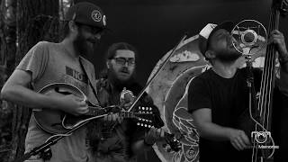 Old Salt Union  "Madam Plum"