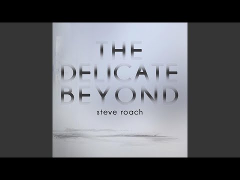 The Delicate Forever (Second Edition Mix)