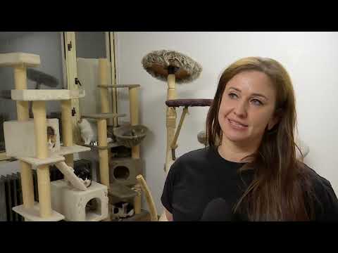 Komárňanský magazín 45/2025