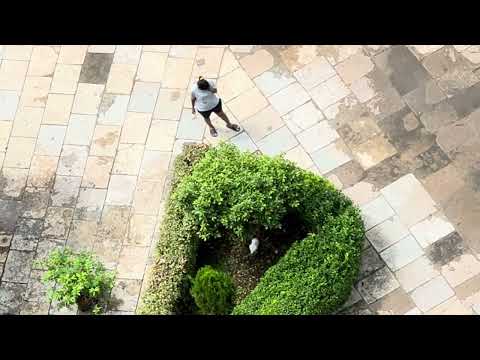 Stella cat playing hide and seek with Priyanka