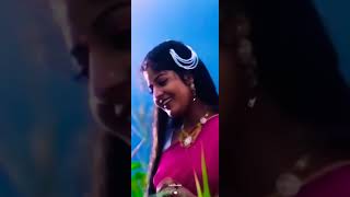 Download lagu Raasave unnai Vida maaten song 💚 full-screen whatsapp status 💚 mp3 Download lagu Raasave unnai Vida maaten song 💚 full-screen whatsapp status 💚 mp3