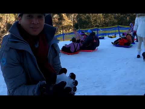 Corin Forest 2020 Snowplay and Alpine Slide