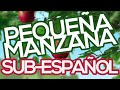 [SUB ESPAÑOL] Chopsticks Brothers - Small Apple ...