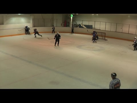 2014.02.29 Warriors - Pantterit