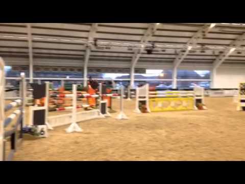 Blue chip star qualifier JO @ Aintree 15/11/2015