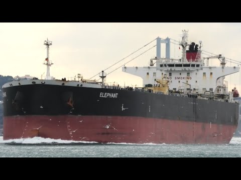 Ship Spotting Istanbul Strait -  2024 (Part 1)