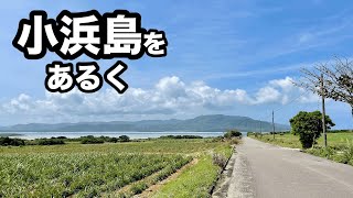 【ちゅらさんの島】小浜島をあるく