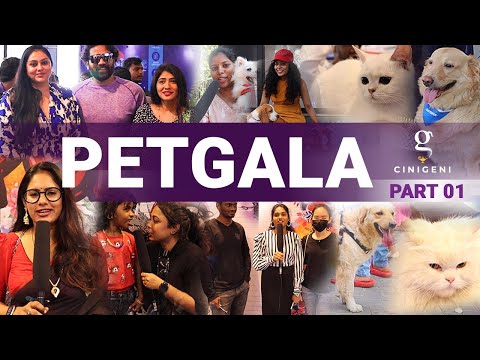 PETGALA- The Biggest Pet show Part 01 #dogs #cats #pets