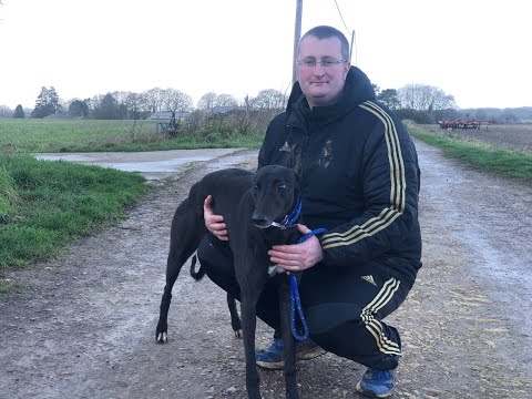 #GreyhoundDerby2022 Kennel Visit: Kevin Hutton