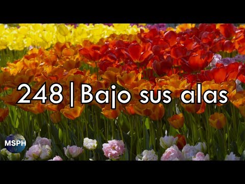 HA62 | Himno 248 | Bajo sus alas