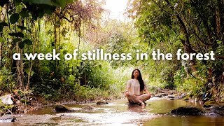 The Best Meditation Retreat in Thailand