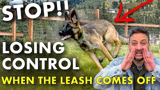 Off Leash: How to Get Your Dog to Listen EVERYWHERE!