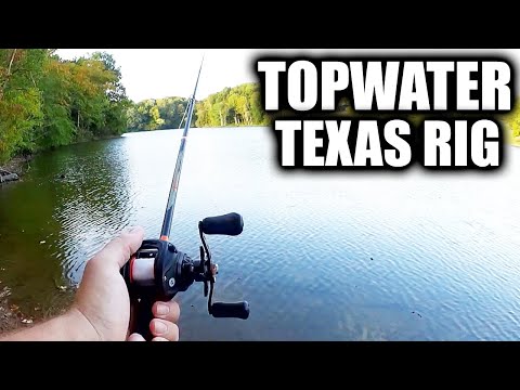 How To Fish TOPWATER Texas Rigs for Bass! (Fall Topwater Bass Fishing)