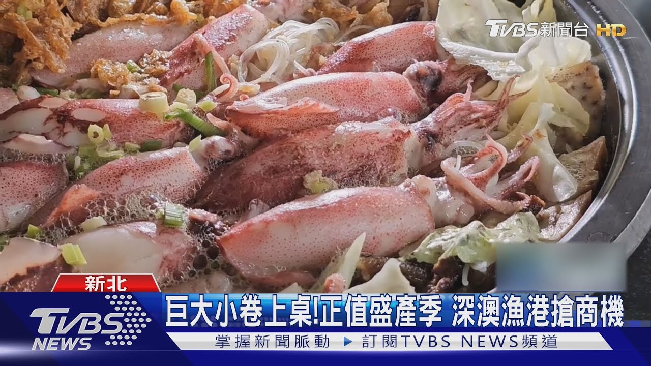 小卷正盛產!新北年產量逾3300噸 深澳漁港搶商機
