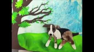 Peals - Tiptoes in the Parlor (Official Music Video)