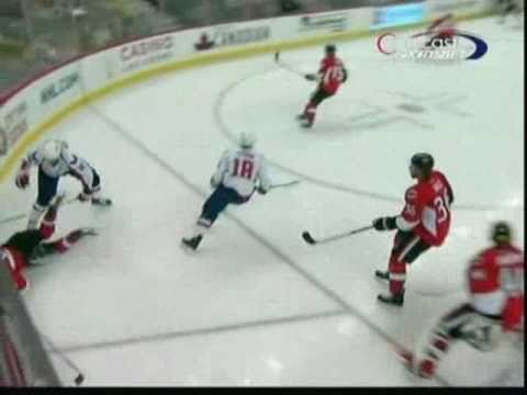 Matt Bradley pummels Patrick Wiercioch