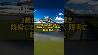 なぜ2歳のダートGIに1番人気で出た馬は障害に転向し30年目の騎手に初めてのGIを贈れたのか アップトゥデイト #Shorts