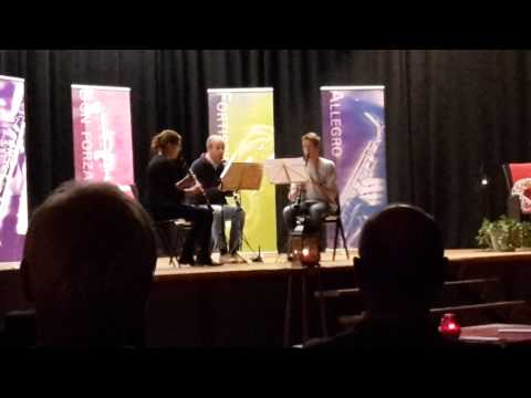 Candlelight Concert Reuver 29.11.2014