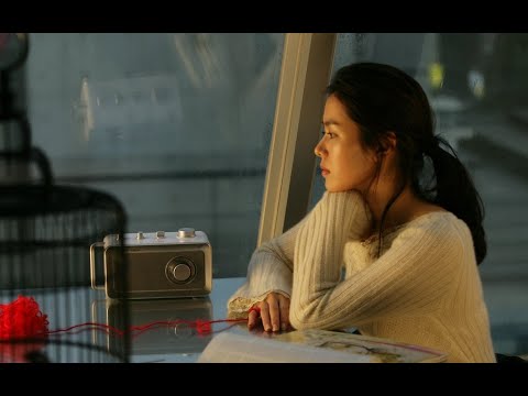 APATIA - Pitizion y  Adso Alejandro // Letra