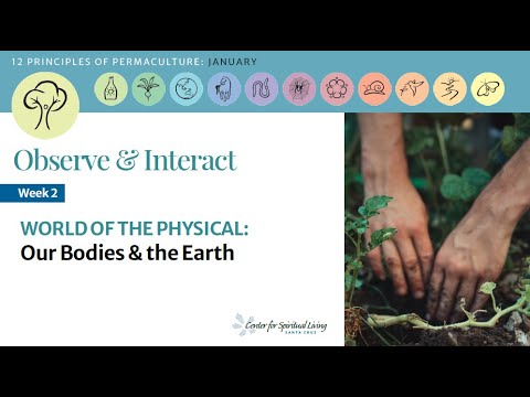 The World of the Physical: Our Bodies and the Earth
