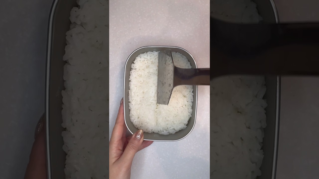 お弁当が出来るまで。#お弁当 #お弁当おかず #お弁当動画 #お弁当記録 #japanesefood #lunchbox